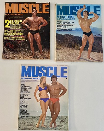 Muscle builder bodybuilding - muscle,
