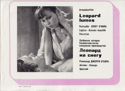 Leopardo sulla neve - leopardo,