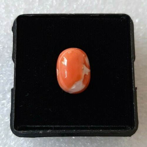 Antico corallo cabochon - cabochon, 100%