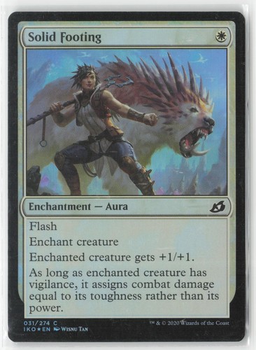 Solid footing common - 31,