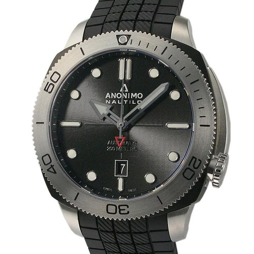 Anonimo nautilo - anonimo,