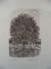 Ettore Fico quadro litografia incisione stampa firma 122/310 stamperia borgo po