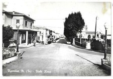FERRARA (1631) - VIGARANO MAINARDA Viale Roma - FG/Vg 1963