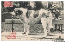 CAR-ADKP1-0067-09 - Cane Dei