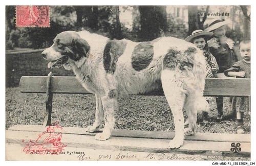 Car adkp1 0067 cane - -,
