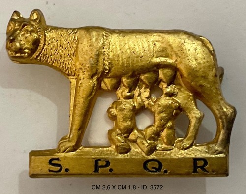 Regio esercito divisione di - esercito,