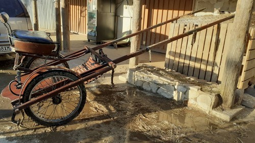 Calesse legno per cavallo - calesse, in