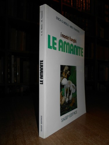 Nostri funghi amanite - funghi.,