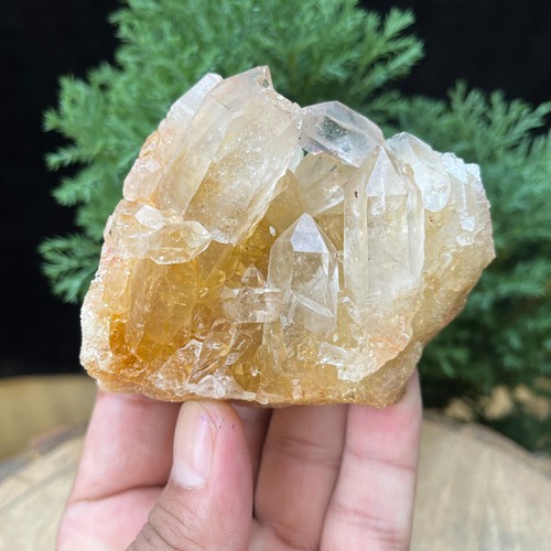 Cluster cristalli quarzo - cristalli,
