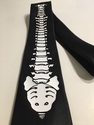 Cravatta anatomica colonna