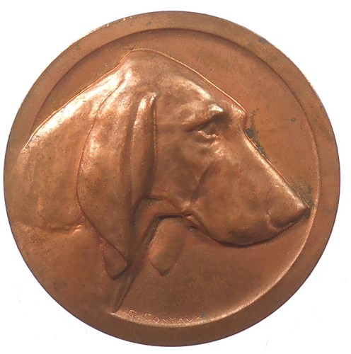 Premio per cani beagle rame - cani,