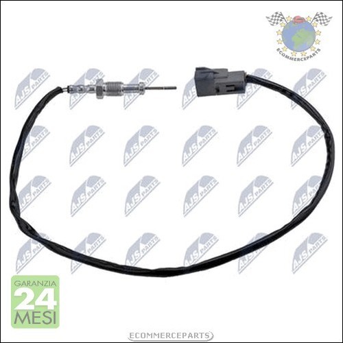 Sensore temperatura gas
