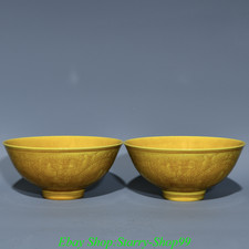 Coppia ciotole ciotola drago