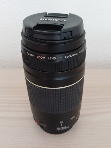 Canon 300mm 5 6 iii - 75-300mm, f/4-5.6