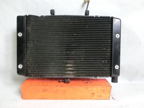 Radiatore acqua honda 1000 - radiatore,