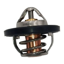 FT1313TM106JG Termostato