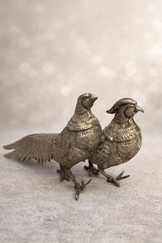 Coppia uccelli fagiani - di,