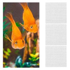  10pcs Plants Plants Moss