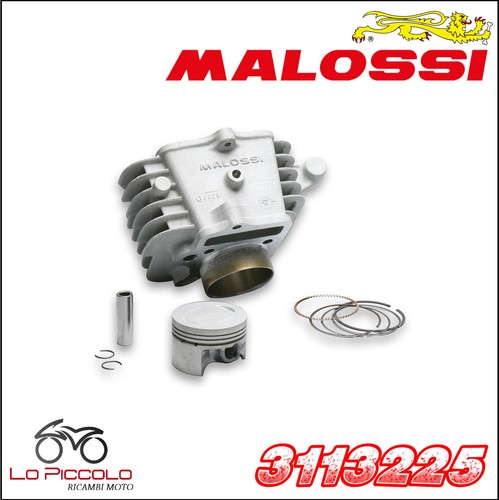 3113225 malossi gruppo termico - 3113225,