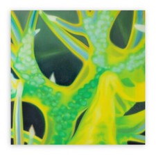 Dany VESCOVI, Olio su tela 100x100 cm. circa del 2000, CAPOLAVORO PUBBLICATO!