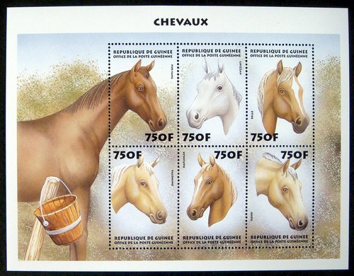 Foglio francobolli cavallo - foglio,