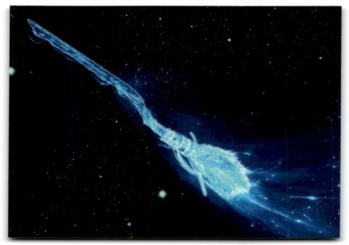 Harry potter always nimbus - #97,