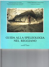 REGGIO EMILIA , GUIDA ALLA