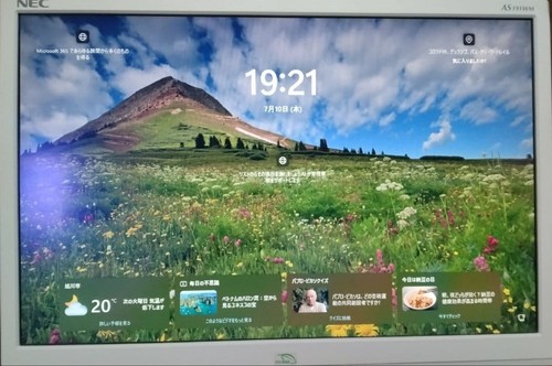 Nec lcd as191wm monitor - nec,