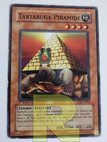 Tartaruga piramide pyramid - piramide,