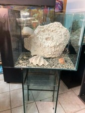 acquario usato come nuovo , vetro extra chiaro, filtro biologico 70x40xh50