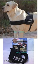 HARNESS SET GUINZAGLIO