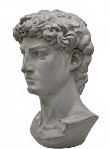 Statua david resina - in,
