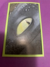 FIGURINA N.95 DRAGON TRAINER