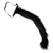 CODA GATTO NERO