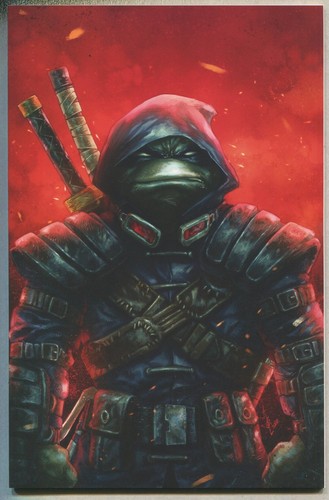 Tmnt the last ronin 1 - the,