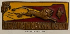 BATTAGLIONE GIOVANI CC.NN. GIL