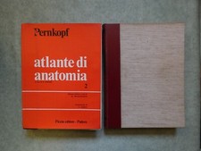 Pernkopf atlante anatomia - pernkopf, di