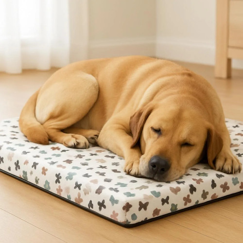 Lettino per cani interno - cani,