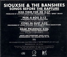 SIOUXSIE AND THE BANSHEES - Songs before the rapture - CD promo goth NMINT