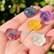 5 pezzi fluorite naturale mini