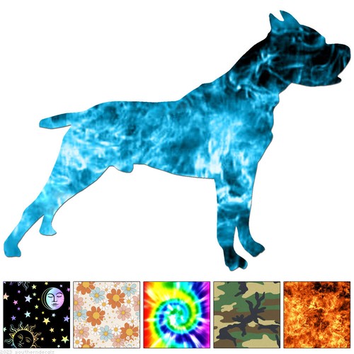 Boxer cane corso - cane, pitbull