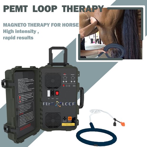 Equino pemf magnetico - pmst, vet