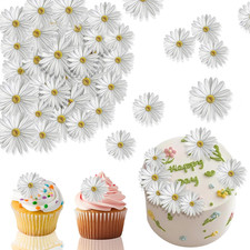 Decorazioni Commestibili per