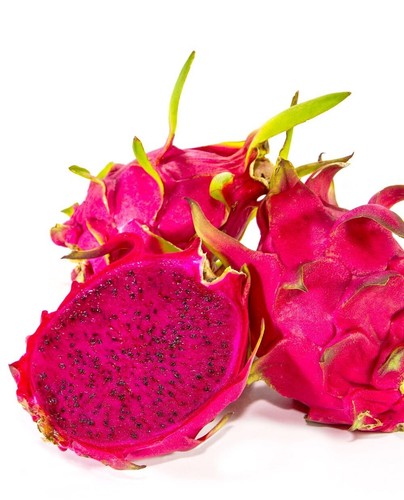 Pianta dragon fruit rosso - pianta,