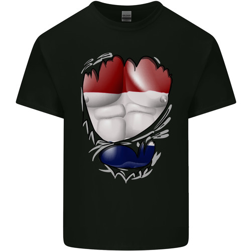 Shirt uomo gym - gym, la