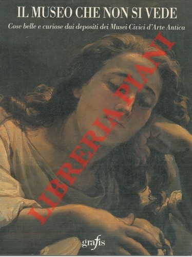 Il museo che non si - aa.vv.,
