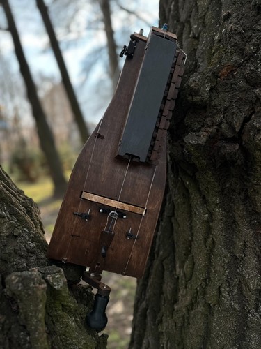 Hurdy gurdy corde lira - 3,
