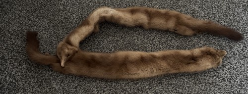 Sciarpa vintage vera - , visone