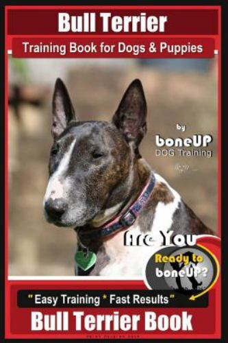 Bull terrier training - bull,