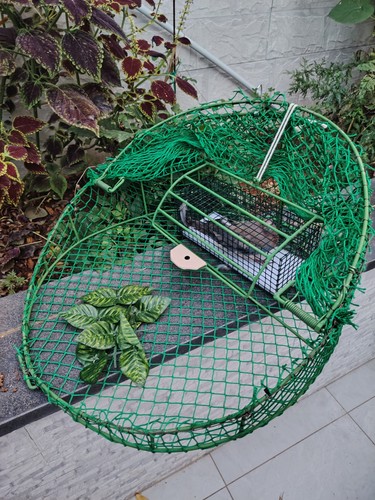 Trappola sicura per - , uccelli
